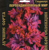 Гладиолус Перпендикулярный мир