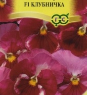 Виола Виттрока F1 Клубничка "Гавриш"