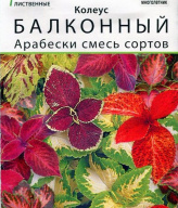 Колеус Балконный Арабески смесь сортов  "Аэлита"