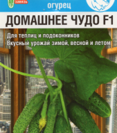 Огурец Домашнее чудо F1"Сибирский сад"