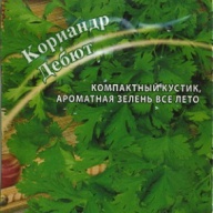 Кориандр Дебют "Гавриш"
