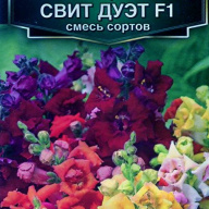 Львиный зев Свит Дуэт F1 смесь сортов "Аэлита"