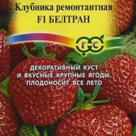 Клубника F1 Белтран "Гавриш"