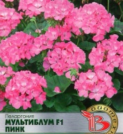 Пеларгония мультибум  F 1 Пинк "Биотехника"