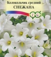 Колокольчик средний Снежана "Гавриш"