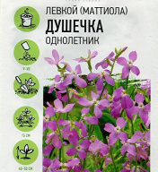 Маттиола Душечка "Гавриш"
