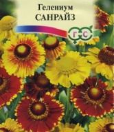 Гелениум  осенний Санрайз  "Гавриш"