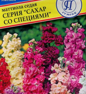 Маттиола седая "Сахар со специями" "Престиж семена"