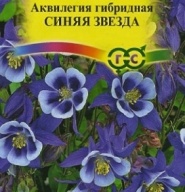 Аквилегия Синяя звезда "Гавриш"