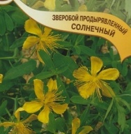 Зверобой продырявленный Солнечный "Гавриш"