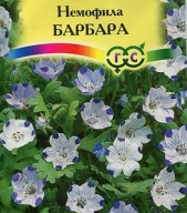 Немофила Барбара "Гавриш"