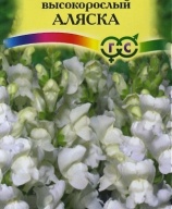 Львиный зев высокорослый  Аляска "Гавриш"