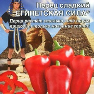 Перец сладкий Египетская сила "Уральский дачник"
