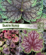 Гейхера Бьюти Колор