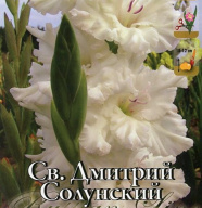 Гладиолус гофрированный Св. Дмитрий Солунский 