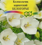 Колокольчик карпатский Белогорье  "Гавриш"