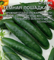 Огурец Темная лошадка  F1 "Уральский дачник"