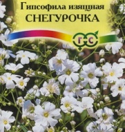 Гипсофила изящная Снегурочка "Гавриш"