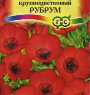 Лен крупноцветковый Рубрум "Гавриш"