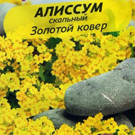 Алиссум скальный Золотая россыпь  "семена Алтая"