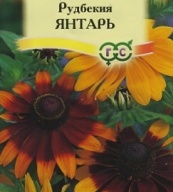 Рудбекия Янтарь "Гавриш"