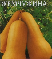 Тыква Мускатная Жемчужина "Гавриш"