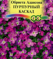 Обриета Адансона Пурпурный Каскад "Гавриш"
