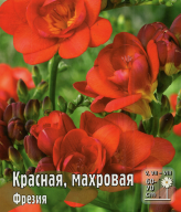 Фрезия Красная махровая