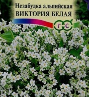 Незабудка альпийская Виктория белая "Гавриш"