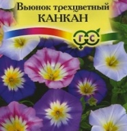 Вьюнок трехцветный Канкан "Гавриш"