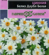 Цинния Белиз Даубл Белая  "Гавриш"