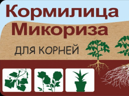 Комилица микориза "БашИнком"