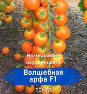 Томат Волшебная арфа F1 "Поиск"