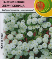 Тысячелистник Жемчужница  "Русский Огород"