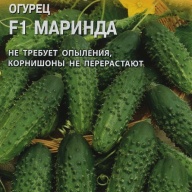 Огурец F1 Маринда "Гавриш"
