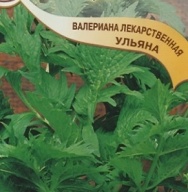 Валериана лекарственная Ульяна "Гавриш"