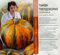 Тыква Твердокорая Лирика  "Уральский дачник"