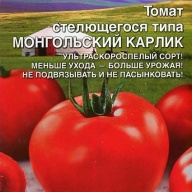 Томат Монгольский карлик "Уральский дачник"