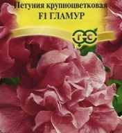 Петуния крупноцветковая F1 Гламур "Гавриш"