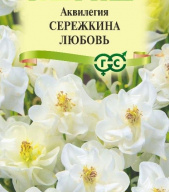 Аквилегия Сережкина любовь  "Гавриш"