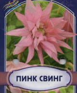 Клематис Пинк Свинг