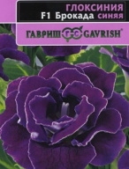 Глоксиния F1 Брокада синяя  "Гавриш"