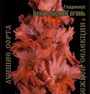 Гладиолус Бенгальский Огонь
