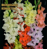 Гладиолус Волшебное конфетти Смесь