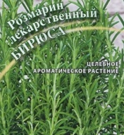 Розмарин лекарственный Бирюса "Гавриш"