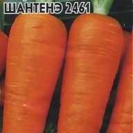Морковь Шантенэ 2461 "Гавриш"