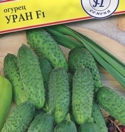 Огурец Уран  F1 "Престиж семена"