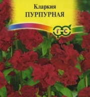Кларкия Пурпурная "Гавриш"