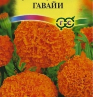Бархатцы прямостоячие Гавайи "Гавриш"