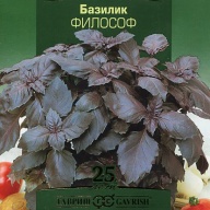 Базилик Философ  "Гавриш"